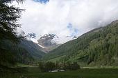 21- la bella valle verso il Gavia, con il cielo che va schiarendo 